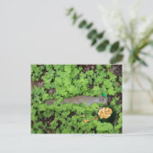 Lucky Squirrel in Clovers Briefkaart (Staand voorkant)