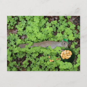 Lucky Squirrel in Clovers Briefkaart