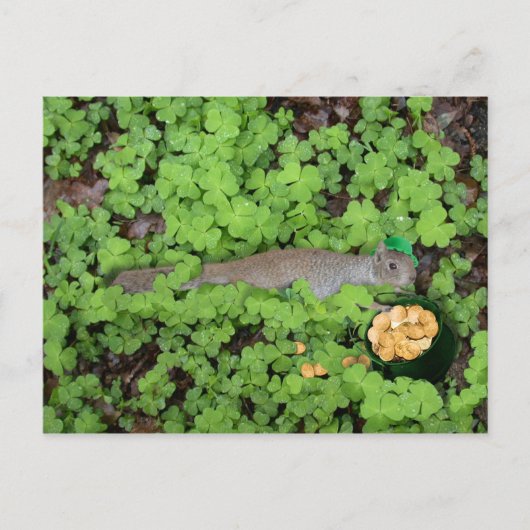 Lucky Squirrel in Clovers Briefkaart (Voorkant)