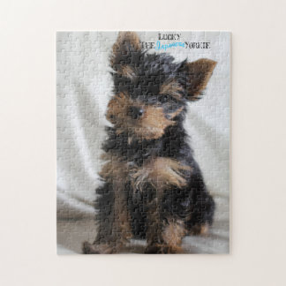 Lucky The Japans Yorkie 10x14 puzzle na 3 maanden Legpuzzel