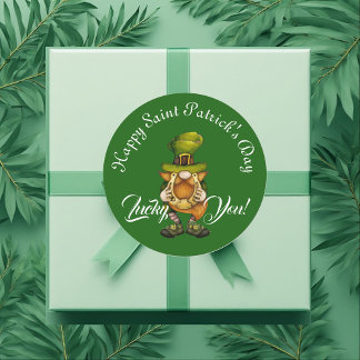 Lucky You Gnome Green Happy Saint Patrick's Day  Ronde Sticker