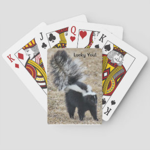 Lucky You jeu de cartes