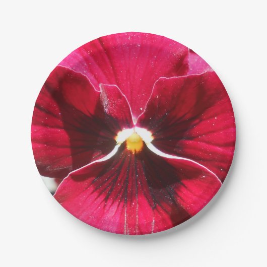 Lucrezia Papieren Bordje (Voorkant)