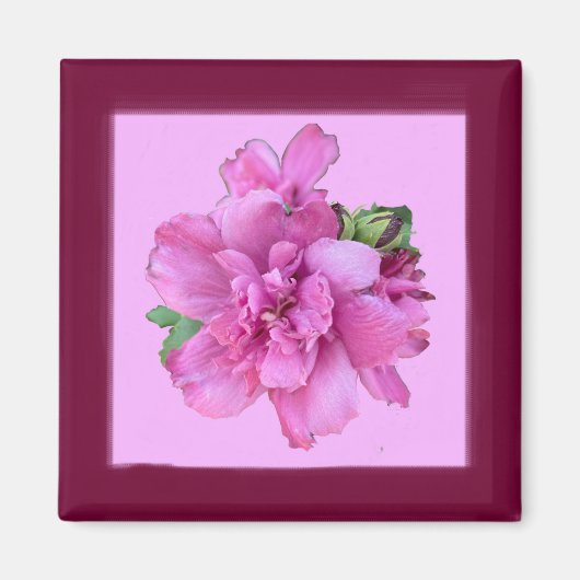 Lucy Rose Magnet Carré (Devant)