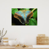LUCY'S BUTTERFLY PRINT (Keuken)