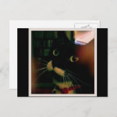 Lucy's Closeup Briefkaart (Voorkant / Achterkant)