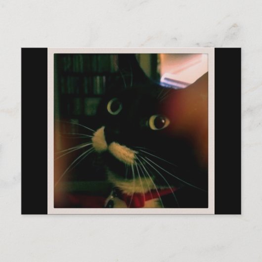 Lucy's Closeup Briefkaart (Voorkant)