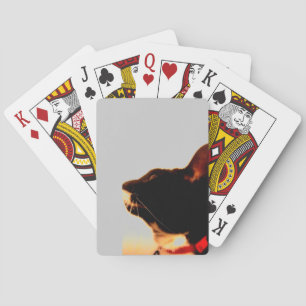 Lucy's profiel pokerkaarten