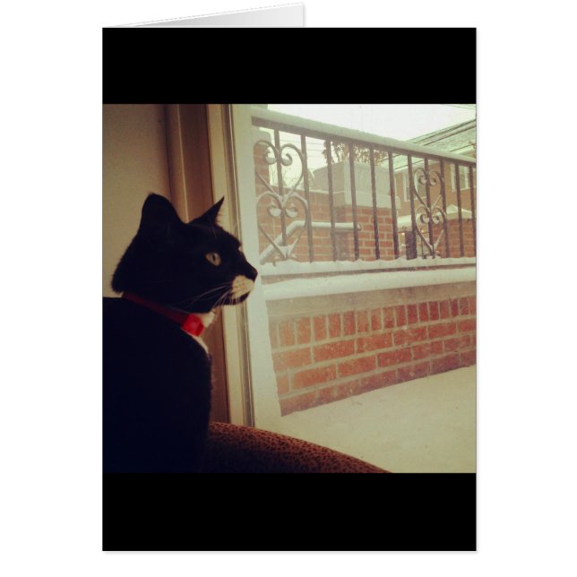 Lucy's sneeuwdag (Voorkant)