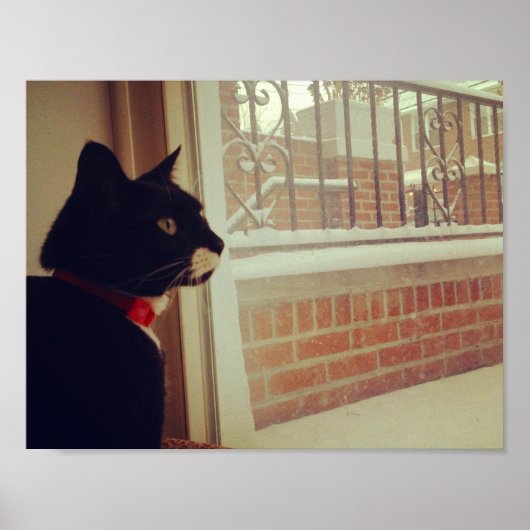 Lucy's sneeuwdag poster (Voorkant)