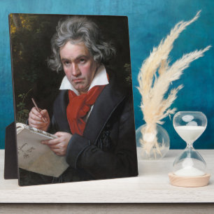 Ludwig Beethoven Symphony Classical Music Composer Fotoplaat