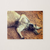 Lui Kangoeroe Legpuzzel (Horizontaal)
