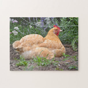 Lui Kippen Legpuzzel