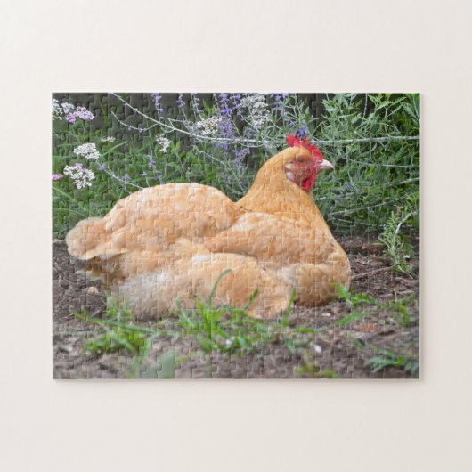 Lui Kippen Legpuzzel (Horizontaal)