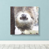 Luiaard 12" x 12" Canvas Print (Insitu (Houten vloer))