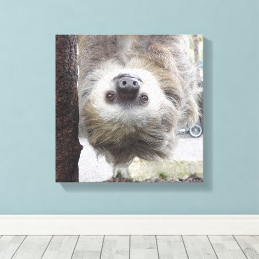 Luiaard 12" x 12" Canvas Print (Insitu (Houten vloer))