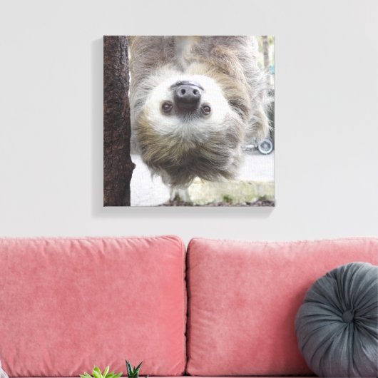 Luiaard 12" x 12" Canvas Print (Insitu (Woonkamer))