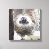 Luiaard 12" x 12" Canvas Print (Voorkant)