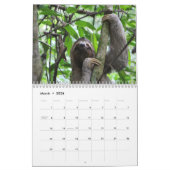 Luiaard 2025 kalender (Mar 2026)