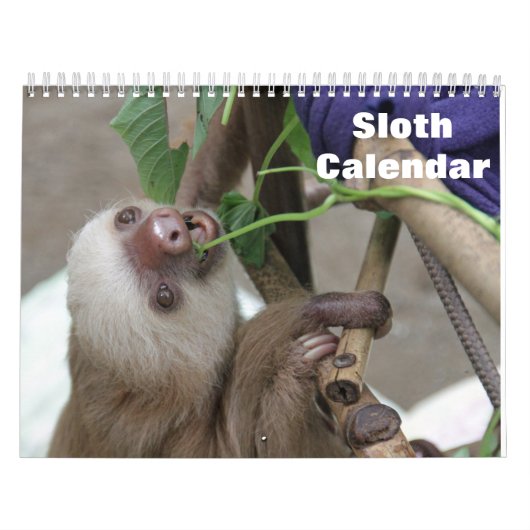 Luiaard 2025 kalender (Hoes)