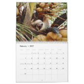 Luiaard 2025 kalender (Feb 2027)