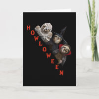 Luiaard aangepaste gelukkige Halloween-trui Luiaar