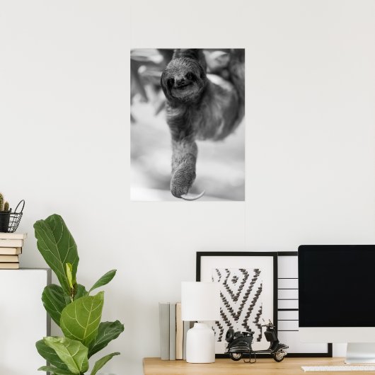 Luiaard Hanging Van Tree Branch Wildlife Poster (Thuiskantoor)