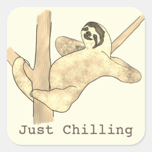 Luiaard in boom die zich gewoon ontspant Grappige  Vierkante Sticker