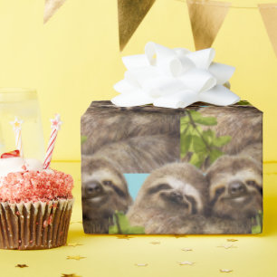 Luiaard Koppel Cadeaupapier