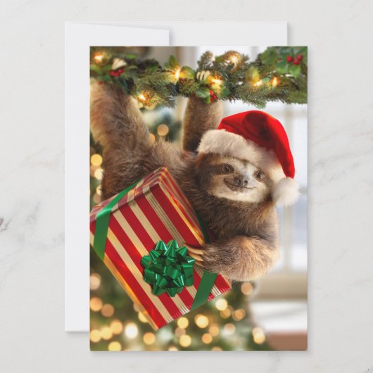 Luiaard met geschenken kaart (Voorkant)