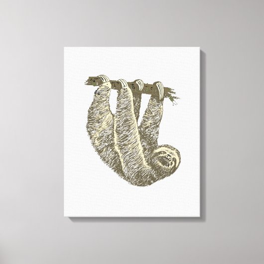 Luiaard op Canvas Afdruk (Voorkant)
