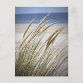 Luie dag op het strand briefkaart (Voorkant)