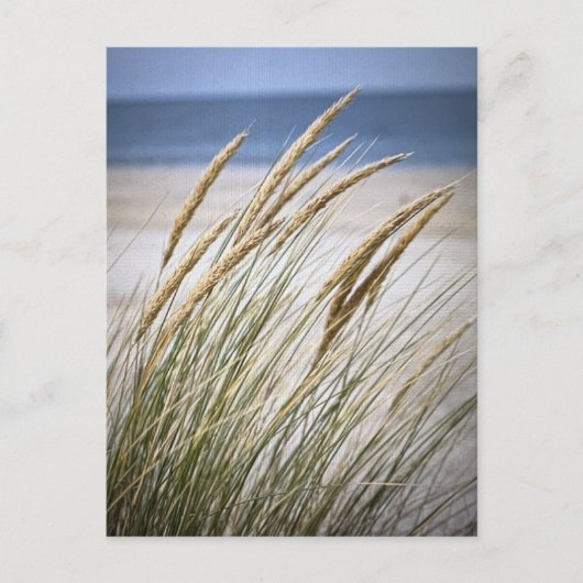 Luie dag op het strand briefkaart (Voorkant)