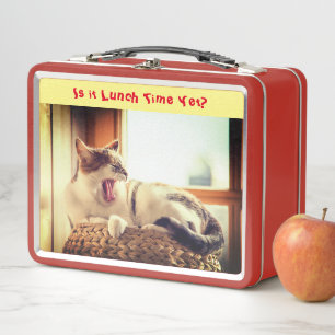 Luie Kat Katten Metalen Lunchbox