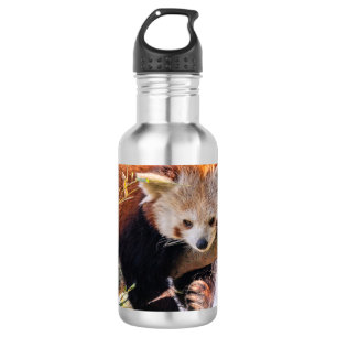 Luie kleine rode panda waterfles