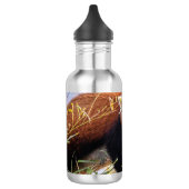 Luie kleine rode panda waterfles  (Links)
