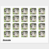 Luie stickers (Vel)