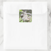 Luie stickers (Tas)
