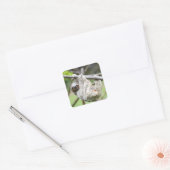 Luie stickers (Envelop)