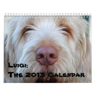 Luigi :  Le calendrier 2013