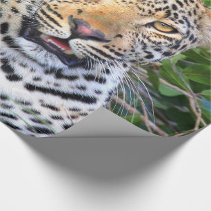 Luipaard 6 Verpakkingspapier Cadeaupapier