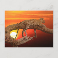 Luipaard bij zonsondergang briefkaart