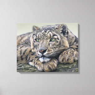 Luipaard die Verpakt Canvas dromen Afdruk
