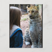 Luipaard en Kind Briefkaart (Voorkant)