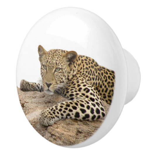 Luipaard keramische knop, rechts keramische knop (Rechts)