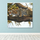 Luipaard klaar om olieverfschilderij canvas print (Insitu (Houten vloer))