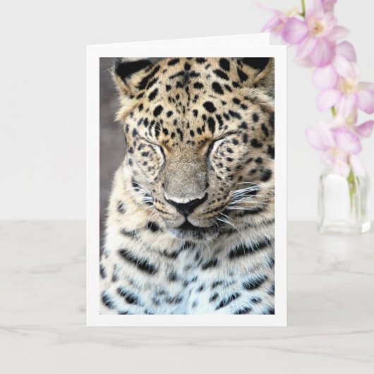 Luipaard met ogen gesloten kaart (Orchidee)