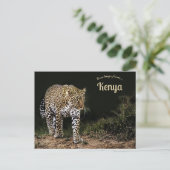 Luipaard op de Masai Mara National Reserve Kenia Briefkaart (Staand voorkant)