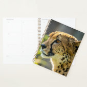 luipaard planner (Display)