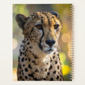 luipaard planner (Achterkant)